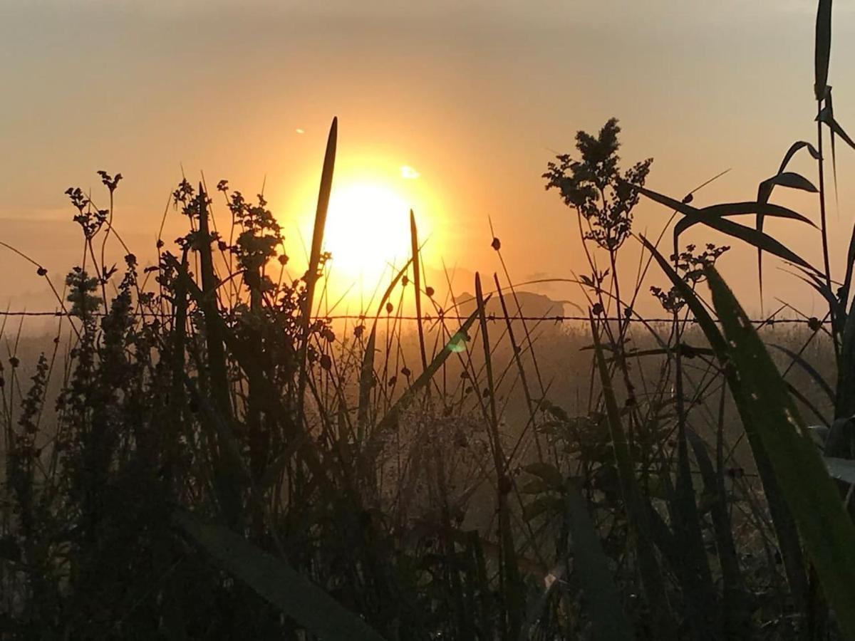 Zomerdijk-Inn Zuid Wanneperveen Luaran gambar