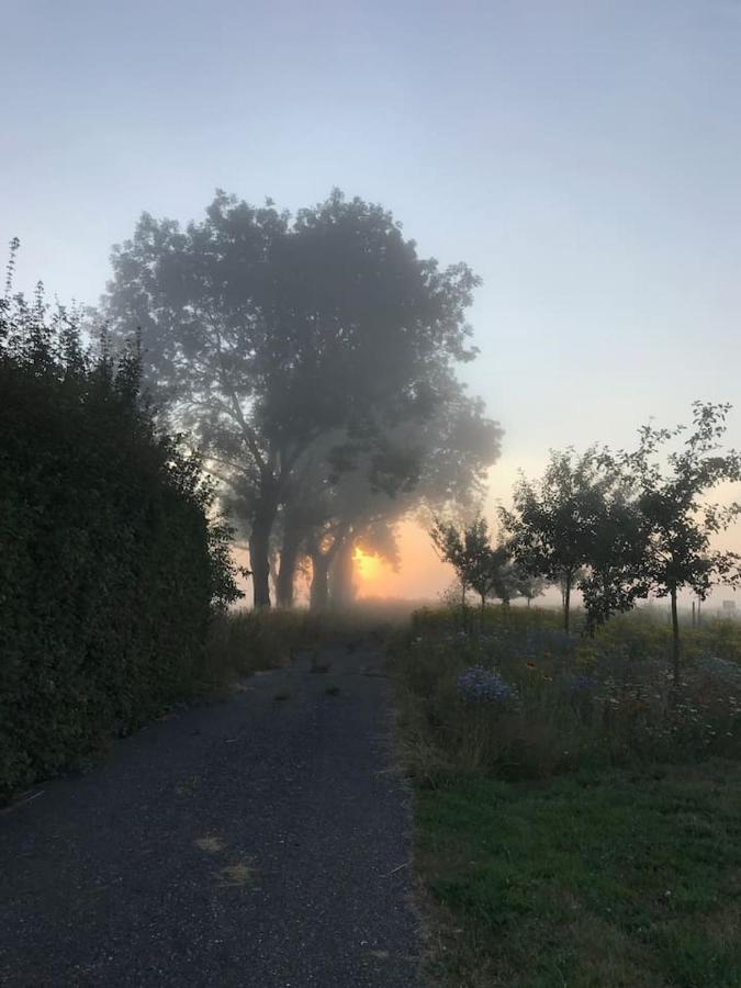 Zomerdijk-Inn Zuid Wanneperveen Luaran gambar